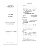 Nghiên cứu và ứng dụng biến tần trong máy phát điện gió