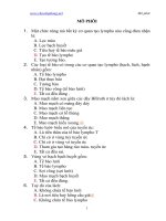 trắc nghiệm mô phối có đáp án