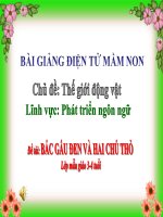 Bài giảng điện tử mầm non lớp Mầm đề tài Bác gấu đen và 2 chú thỏ