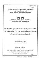 Báo cáo tổng kết khoa học và kỹ thuật dự án sản xuất thử nghiệm 