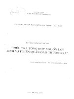 Báo cáo tổng kết đề tài điều tra tổng hợp nguồn lợi sinhvật biển quần đảo trường sa 