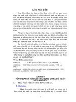 Thực trạng và giải pháp nâng cao hiệu quả hoạt động đầu tư xây dựng cơ bản của tỉnh Lai Châu