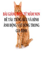 Bài giảng điện tử mầm non Lớp nhà trẻ đề tài Tiếng kêu và hình ảnh động vật sống trong gia đình
