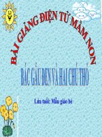 Bài giảng điện tử mầm non lớp Mầm đề tài Bác gấu đen và 2 chú thỏ