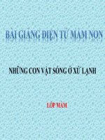 Bài giảng điện tử mầm non lớp Mầm đề tài Những con vật sống ở xứ lạnh