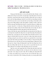 Kinh tế tri thức  Ảnh hưởng của kinh tế tri thức tới sự nghiệp Công nghiệp hoá  Hiện đại hoá ở nước ta