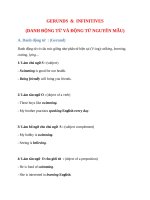 15  DANH ĐỘNG từ (v ING + TO v) 