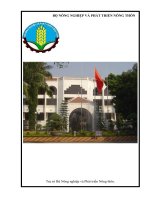 Báo cáo thực tập tốt nghiệp quản trị văn phòng tại BỘ NÔNG NGHIỆP và PHÁT TRIỂN NÔNG THÔN