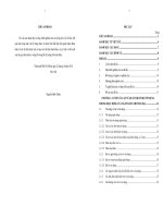 MÔ HÌNH QUẢN TRỊ RỦI RO TÍN DỤNG VÀ TÌNH HÌNH HOẠT ĐỘNG TÍN DỤNG TẠI NGÂN HÀNG THƢƠNG MẠI CỔ PHẦN QUỐC TẾ VIỆT NAM (VIB)