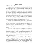 Đánh giá hiệu quả kinh doanh sau cổ phần hóa của công ty cổ phần XNK và dịch vụ tổng hợp nghệ an