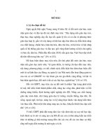 Tiểu luận quản lý hoạt động dạy học ở trường trung học phổ thông theo định hướng phát triển năng lực học sinh 