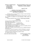 giay xac nhan tinh t hon nhan trong nuoc