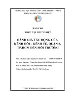 ĐÁNH GIÁ TÁC ĐỘNG CỦA  KÊNH ĐÔI – KÊNH TẺ, QUẬN 8,  TP.HCM ĐẾN MÔI TRƯỜNG