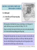 HỆ THỐNG NHIÊN LIỆU TRONG ĐỘNG CƠ DIESEL