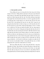 Tiểu luận tối ưu hóa các tham số của một số sơ đồ công nghệ khai thác vỉa than dày, dốc thoải vùng cẩm phả   quảng ninh 