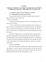 BẢO QUẢN CHẾ BIẾN  RAU QUẢ