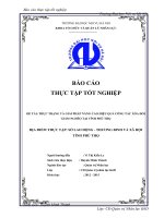 Báo cáo thực tập tốt nghiệp quản trị nhân lực: Thực trạng và giải pháp nâng cao hiệu quả công tác xóa đói giảm nghèo tại tỉnh phú thọ