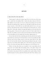 Tiểu luận dáng điệu tiệm cận của một số hệ vi phân đa trị trong không gian vô hạn chiều 
