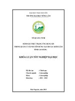 Đánh giá thực trạng ứng dụng GIS trong qu ản lý tài nguyên rừng tại chi cục kiểm lâm tỉnh cao bằng 