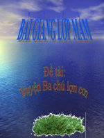 Bài giảng điện tử mầm non lớp Mầm đề tài Truyện ba chú lợn con