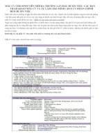 MẪU CV CHO SINH VIÊN mới RA TRƯỜNG lần đầu đi XIN VIỆC