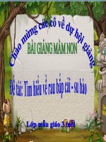 Bài giảng điện tử mầm non lớp Mầm đề tài Tìm hiểu rau bắp cải  su hào