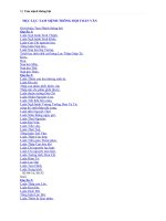 TAM MỆNH THÔNG hội TOÀN văn 