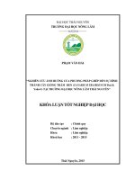 Nghiên cứu ảnh hưởng của phương pháp ghép đến sự hình thành cây giống trám đen (canarium tramdenum dai  yakovl) tại trường đại học nông lâm thái nguyên 