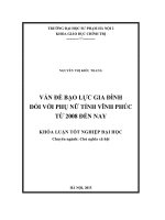 Vấn đề bạo lực gia đình đối với phụ nữ tỉnh vĩnh phúc từ 2008 đến nay 