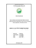 Khảo ngiệm một số biện pháp phòng trừ mối (isoptera) hại rừng trồng keo (acasia) tại xã tân thịnh, huyện định hóa, tỉnh thái nguyên 