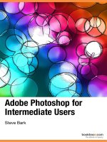 Adobe Photoshop for Intermediate Users
