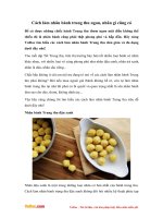 Cách làm nhân bánh Trung thu ngon, nhân gì cũng có