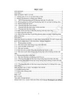 xây dựng phương trình đạo hàm riêng bằng phương pháp có lưới 