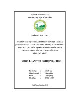 Nghiên cứu một số đặc điểm cây sến mật làm cơ sở cho việc bảo tồn các loài thực vật quý hiếm tại khu bảo tồn thiên nhiên phia oắc – phia đén tỉnh cao bằng