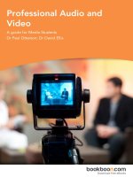 Professional Audio and Video