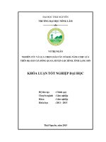 Nghiên cứu và lựa chọn loài cây có khả năng chịu lửa trên địa bàn xã đông quan, huyện lộc bình, tỉnh lạng sơn 