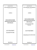 Một số giải pháp giảm nghèo cho hộ nông dân ở huyện Hàm Yên tỉnh Tuyên Quang