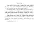 Báo cáo thực tập tốt nghiệp quản trị nhân lực: Thực trạng và giải pháp nâng cao hiệu quả công tác tạo động lực làm việc tại công ty cổ phần công nghệ cao long phú