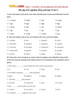 Bài tập tiếng Anh lớp 9 Unit 1: A Visit From A Pen Pal Số 1