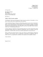 Mẫu đơn xin việc bằng tiếng anh dành cho vị trí giám đốc kinh doanh.