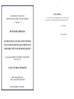 Nâng cao chất lượng nghiệp vụ tín dụng tại Ngân hàng Thương mại cổ phần Xuất nhập khẩu Việt Nam Chi nhánh Chợ Lớn