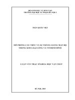 Luận văn mô phỏng cấu trúc và sự thăng giáng mật độ trong kim loại lỏng và vô định hình 