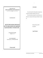 MỘT SỐ GIẢI PHÁP NHẰM PHÁT TRIỂN KINH TẾ BỀN VỮNG TRONG HỆ THỐNG NÔNG NGHIỆP TRÊN ĐỊA BÀN HUYỆN ĐỒNG HỶ  TỈNH THÁI NGUYÊN
