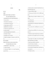 Môt số giải pháp tăng cường khả năng thu hút vốn đầu tư trực tiếp nước ngoài tới EU tại TP