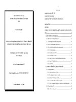 Nâng cao hiệu quả hoạt động của các Công ty niêm yết nhằm phát triển thị trường chứng khoán Việt Nam
