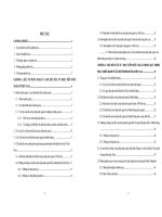 Nâng cao khả năng vốn đầu tư nước ngoài trong quá trình phát triển xã hội tỉnh Bình Dương giai đoạn 2006  2010