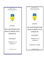 Nâng cao chất lượng đội ngũ cán bộ, công chức của tỉnh Bà Rịa Vũng Tàu giai đoạn 20132018