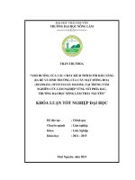 Ảnh hưởng của các chất kích thích tới khả năng ra rễ và sinh trưởng của cây mật mông hoa (buddleia officinalis maxim), tại trung tâm nghiên cứu lâm nghiệp vùng núi phía b ắc, trường đại học nông lâm thái nguyên 