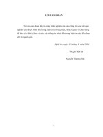 Điều tra cây thuốc và các bài thuốc của đồng bào dân tộc thái, huyện quế phong, tỉnh nghệ an, nhằm bảo tồn tri thức bản địa và định hướng phát triển tài nguyên rừng bền vững 