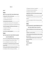 Một số giải pháp nhằm cải thiện tình hình thu hút vốn đầu tư trực tiếp nước ngoài tại thành phố Đà Nẵng